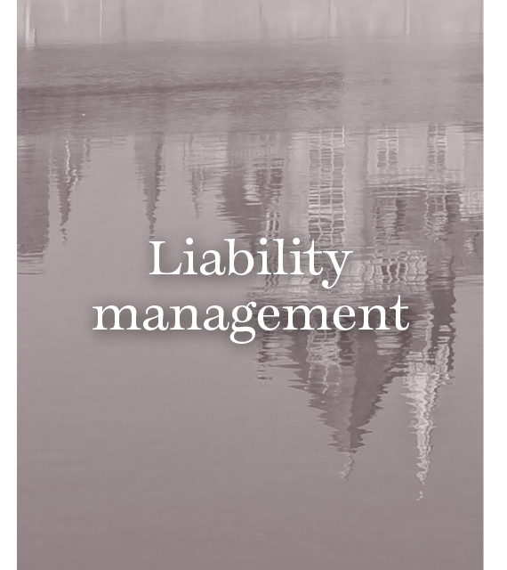 Liability management.png